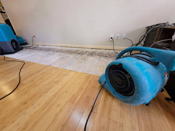 Professional Sewage Cleanup technician working in Brownsville, WI